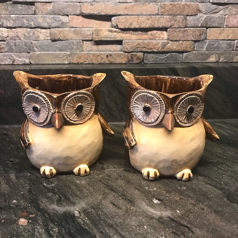 Charming Owl Candle holder set